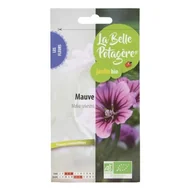 Nasiona i cebule - Nasiona do siewu - Ślaz - 1 g - miniaturka - grafika 1