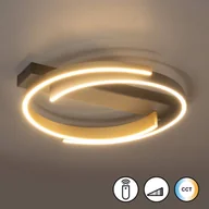 Lampy sufitowe - FISCHER & HONSEL Lampa sufitowa Circly LED, metal, pilot, CCT, ściemniana - miniaturka - grafika 1