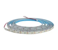 Taśmy LED - LED Taśma łazienkowa DAISY 5m światło dzienne biała IP65 - miniaturka - grafika 1