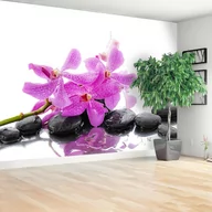 Fototapety - Fototapeta Różowa orchidea - miniaturka - grafika 1