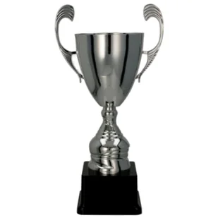 PUCHAR 4105C - Gadżety dla kibiców - miniaturka - grafika 1