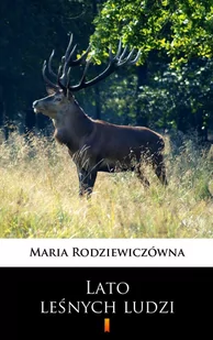 Lato leśnych ludzi - E-booki - literatura polska - miniaturka - grafika 1