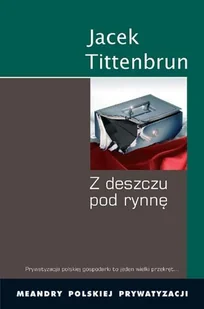 Z Deszczu Pod Rynnę. Meandry Polskiej Prywatyzacji. Tom III - Ekonomia - miniaturka - grafika 1