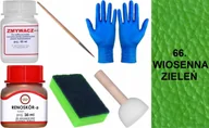 Środki do obuwia i ubrań - WIOSENNA ZIELEŃ 66 Renoskór ZESTAW DO RENOWACJI SKÓRY LICOWEJ Farba Zmywacz - miniaturka - grafika 1