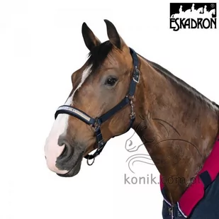 Eskadron Kantar DOUBLE PIN CLASSIC SPORTS jesień-zima 2016/17 insigniablue - Kantary dla koni - miniaturka - grafika 1