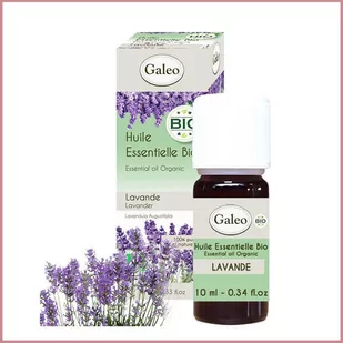 Galeo, Olejek eteryczny BIO z lawendy, 10 ml - Aromaterapia Galeo, Olejek eteryczny BIO z lawendy, 10 ml - Aromaterapia - miniaturka - grafika 1