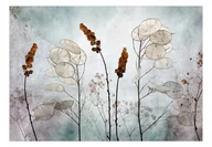 Fototapety - Fototapeta - Lunaria na łące (rozmiar 100x70) - miniaturka - grafika 1