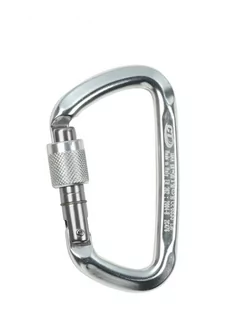 Climbing Technology Karabinek D-Shape CF SG srebrny roz uniw L4760001P) L4760001P - Sprzęt wspinaczkowy - miniaturka - grafika 1