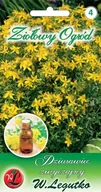 Nasiona i cebule - NA STRES I DEPRESJE DZIURAWIEC ZWYCZAJNY (HYPERICUM PERFORATUM) 0,2G NASION - miniaturka - grafika 1
