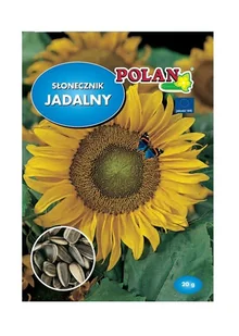 Słonecznik jadalny 20 g POLAN - Nasiona i cebule - miniaturka - grafika 1