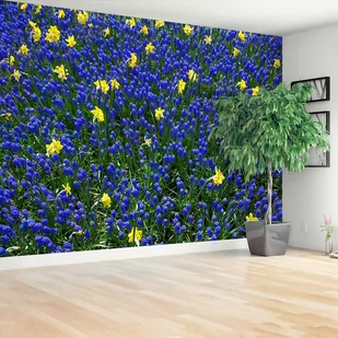 Fototapeta Łubin Kwiaty - Fototapety - miniaturka - grafika 1