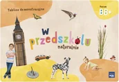 Edukacja przedszkolna - W Przedszkolu Naturalnie. Poziom B i B+. Tablice demonstracyjne - miniaturka - grafika 1