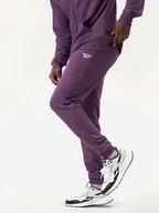 Spodnie sportowe męskie - Spodnie dresowe ocieplane męskie Reebok Identity Small Logo Fleece Jogger 100206013 XL Śliwkowe (1200143859636) - miniaturka - grafika 1