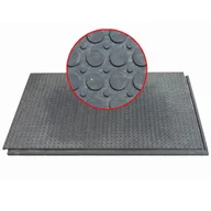 Pozostałe wyposażenie warsztatu - Płyta wewnętrzna REPLAST, 1200 x 800 x 22 mm - miniaturka - grafika 1