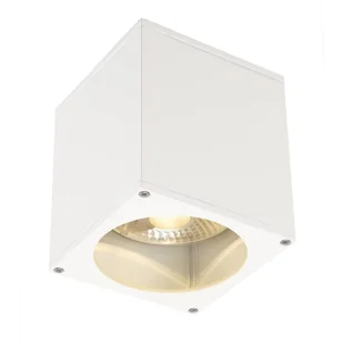Downlight BIG THEO GU10 ES111 IP44 - biały - Lampy ogrodowe - miniaturka - grafika 1