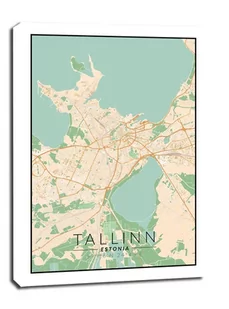 Tallin mapa kolorowa - obraz na płótnie Wymiar do wyboru: 50x70 cm - Obrazy i zdjęcia na płótnie - miniaturka - grafika 1