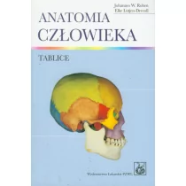 Wydawnictwo Lekarskie PZWL Anatomia człowieka Tablice - Rohen Johannes W., Lutjen-Drecoll Elke - Książki medyczne - miniaturka - grafika 1