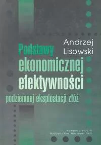 Podstawy ekonomicznej efektywności podziemnej eksploatacji złóż - Biznes - miniaturka - grafika 1