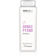 Szampony do włosów - Framesi Morphosis Densifying szampon dla wzmocnienia wzrostu włosów 250 ml - miniaturka - grafika 1