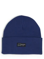 Czapki męskie - Superdry - Czapka męska, niebieski - miniaturka - grafika 1