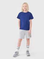 Spodnie i spodenki dla chłopców - 4F Spodenki dresowe chłopięce - szare 122 (6-7 lat) - miniaturka - grafika 1