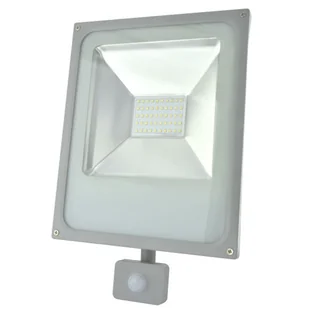 INQ Naświetlacz LED z czujnikiem ruchu INQ Ralf FL204PNW, szary, 50 W - Lampy ogrodowe - miniaturka - grafika 1