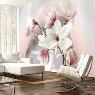 Fototapety - Fototapeta - Białe magnolie (rozmiar 400x280) - miniaturka - grafika 1