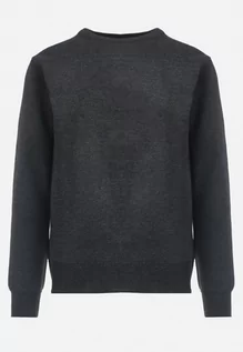 Swetry męskie - Ciemnoszary Klasyczny Sweter z Wełną Ocieplony Polarem Klesinda - grafika 1