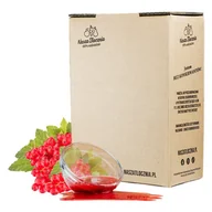 Koncentraty warzywne, przeciery - Przecier premium 100% Czerwona Porzeczka 3kg - miniaturka - grafika 1