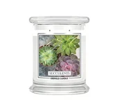 Świece - Kringle Candle Medium Jar Succulents - świeca zapachowa 411 g - miniaturka - grafika 1