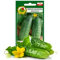 Nasiona i cebule - OGÓREK GRUNTOWY DELICIUS PLENNY NASIONA BEZ GMO 5g - miniaturka - grafika 1