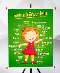 Plansza- MEINE KÖRPERTEILE - Pomoce naukowe - miniaturka - grafika 1