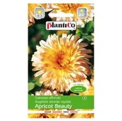 Nasiona i cebule - NAGIETEK lekarski PACIF. APRICOT BEAUTY nasiona 2g - miniaturka - grafika 1