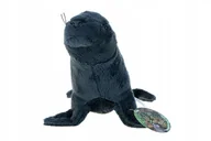 Maskotki i pluszaki - Pluszowe ZOO: maskotka Foka uchatka, lew morski 17cm (69532) - miniaturka - grafika 1