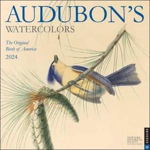 Audubon's Watercolors 2024 Wall Calendar - Pozostałe książki - miniaturka - grafika 1