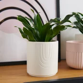 Donice - Sinsay - Doniczka - Biały - miniaturka - grafika 1