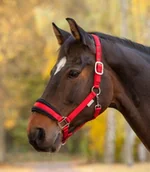 Kantary dla koni - Waldhausen Kantar MEMORY FOAM - miniaturka - grafika 1