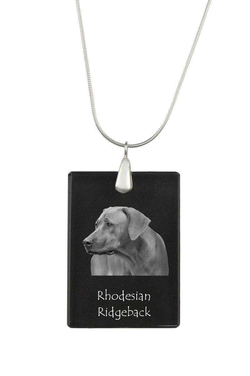Rhodesian Ridgeback, Afrykański pies na lwy - kryształowa zawieszka z psem, srebrny naszyjnik ze zdjęciem, personalizowany wisiorek marki Art-Dog