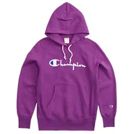 Bluzy sportowe męskie - Męska Bluza Z Logo Script - miniaturka - grafika 1