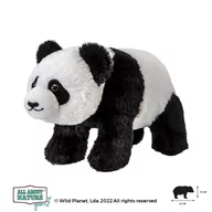 Maskotki i pluszaki - Wild Planet, Pluszak All About Nature Green, Panda - miniaturka - grafika 1