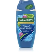 Kosmetyki do kąpieli - Palmolive Colgate Wellness Żel pod prysznic do masażu 250ml - miniaturka - grafika 1
