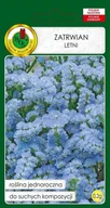 Nasiona i cebule - Zatrwian Letni Niebieski 0.2 g PNOS - miniaturka - grafika 1