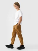 Spodnie i spodenki dla chłopców - 4F Spodnie casual joggery chłopięce - brązowy 122 (6-7 lat) - miniaturka - grafika 1