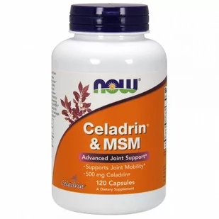 Now Foods Celadrin 500 mg i MSM 100 mg (120 kaps.) - Suplementy naturalne - miniaturka - grafika 1