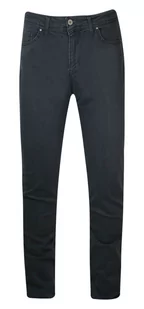Spodnie Męskie, Szare JEANSY, Regular Fit, Zwężana Nogawka -PAKO JEANS - Pako Jeans - Spodnie męskie - miniaturka - grafika 1
