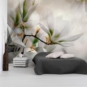 Fototapety - Fototapeta - Subtelne magnolie - drugi wariant (rozmiar 100x70) - miniaturka - grafika 1