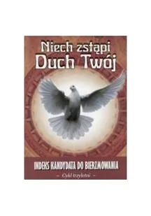 Wydawnictwo Diecezjalne Sandomierz Niech zstąpi Duch Twój - indeks kandydata do bierzmowania - Wydawnictwo Diecezjalne - Religia i religioznawstwo - miniaturka - grafika 2