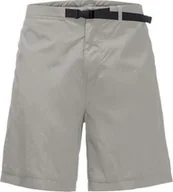 Spodnie sportowe męskie - Jack Wolfskin Spodenki męskie LIGHTSOME M ash grey r. 54 - miniaturka - grafika 1