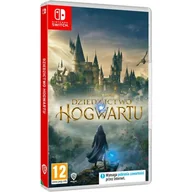 Gry Nintendo Switch - Hogwarts Legacy GRA NINTENDO SWITCH - miniaturka - grafika 1