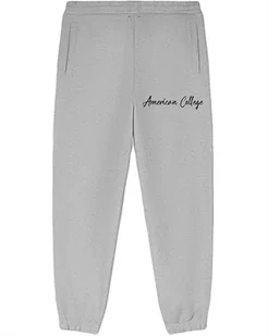 AMERICAN COLLEGE USA Spodnie dresowe męskie, Melange Grey, M - Spodnie sportowe męskie - miniaturka - grafika 1